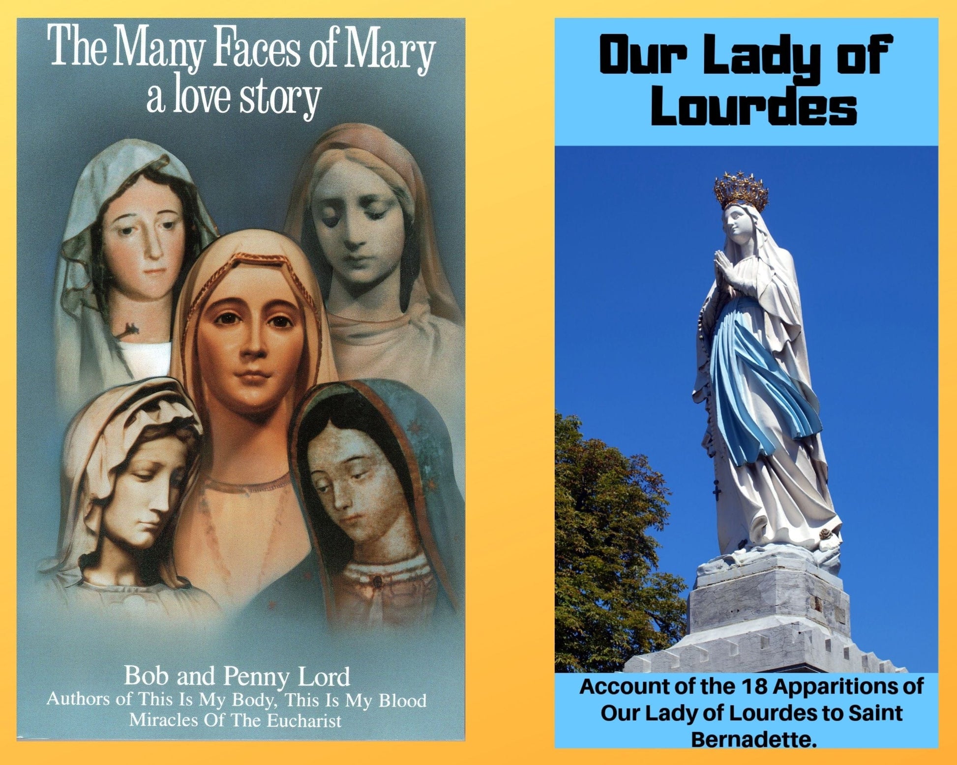 The Many Faces of Mary book and Our Lady of Lourdes DVD combo by Bob and Penny Lord Ministry, featuring religious images and cover art.