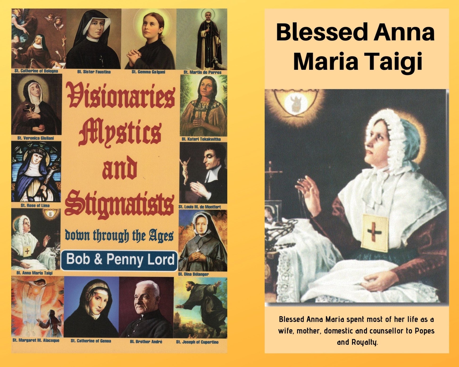 Book and DVD combo featuring "Visionaries Mystics and Stigmatists" by Bob and Penny Lord Ministry, with image of the book cover and DVD case.