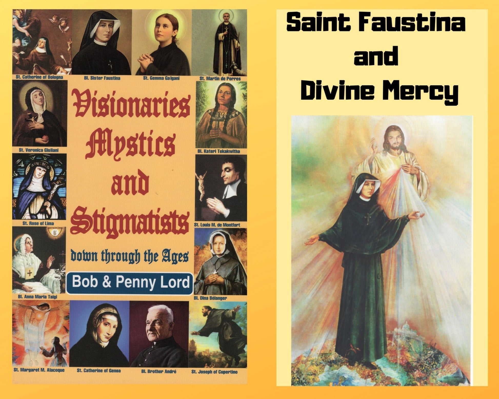 Visionaries Mystics and Stigmatists book and Saint Faustina DVD combo by Bob and Penny Lord Ministry, shown with cover and DVD case.